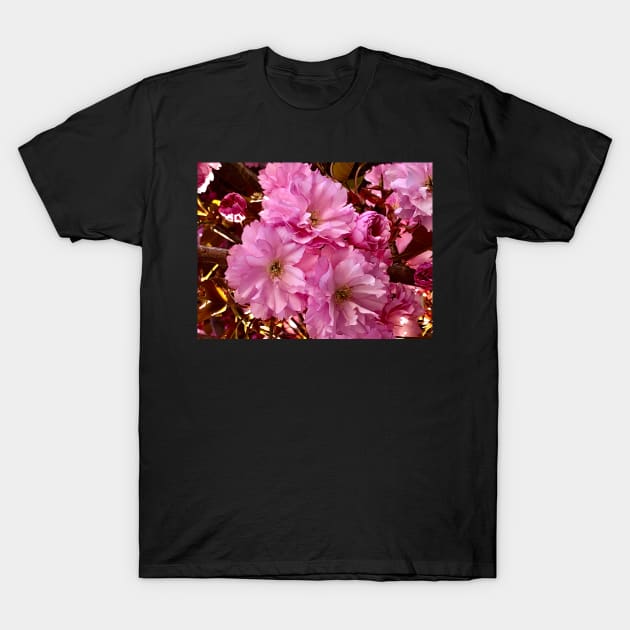 Pink Blossoms T-Shirt by GDGCreations